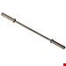 barbell